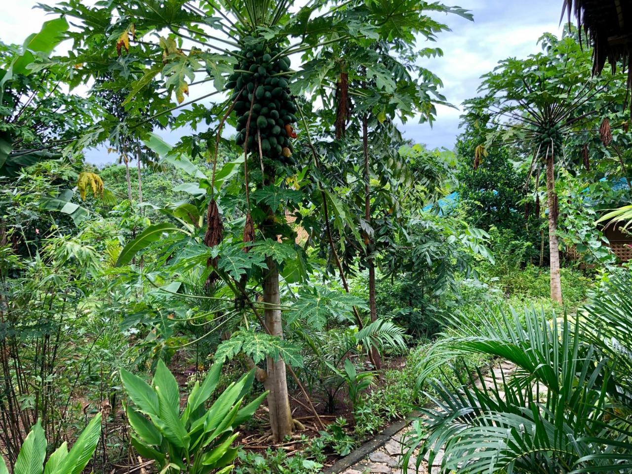 House @Bohol Garden Homes Panglao Exterior photo