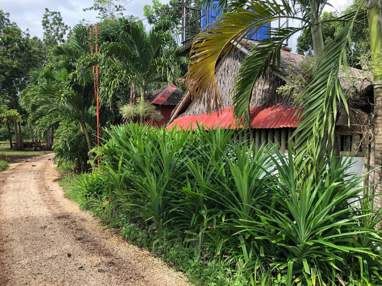 House @Bohol Garden Homes Panglao Exterior photo